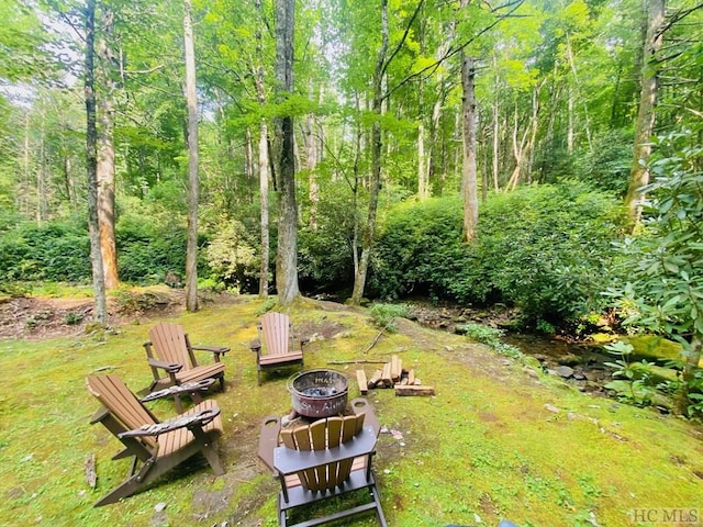 view of yard featuring a fire pit