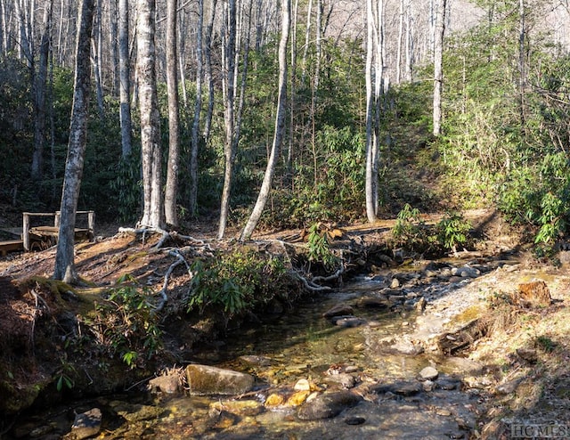 view of local wilderness