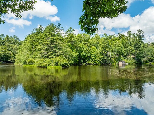 60 Cullasaja Dr, Highlands, NC 28741 - photo 27