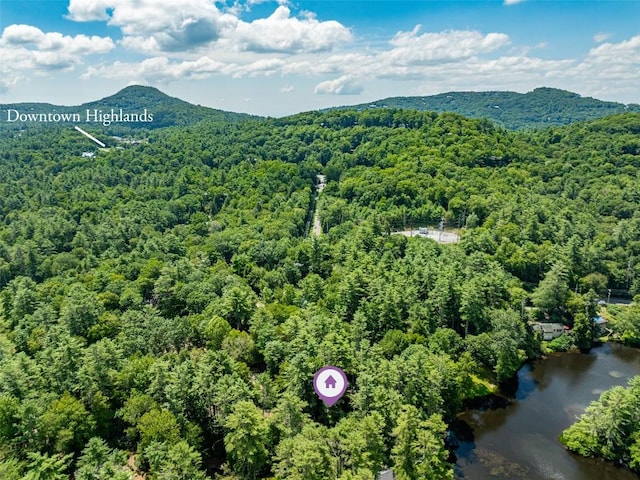 60 Cullasaja Dr, Highlands, NC 28741 - photo 28