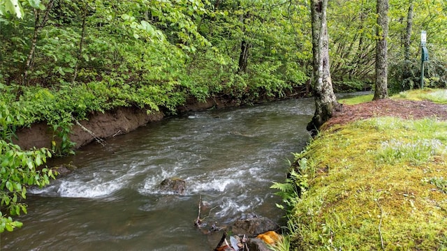 60 Bartram Trail Ln, Scaly Mountain, NC 28775