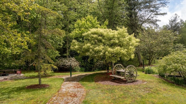 60 Bartram Trail Ln, Scaly Mountain, NC 28775