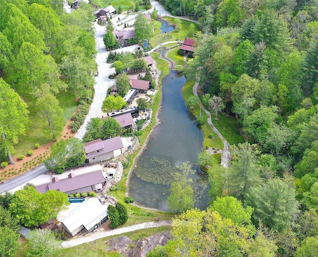 60 Bartram Trail Ln, Scaly Mountain, NC 28775