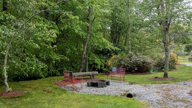 60 Bartram Trail Ln, Scaly Mountain, NC 28775