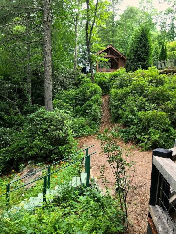 60 Bartram Trail Ln, Scaly Mountain, NC 28775