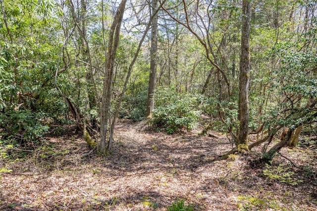 view of nature with a forest view