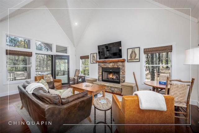 living area with high vaulted ceiling, a stone fireplace, wood finished floors, and a healthy amount of sunlight