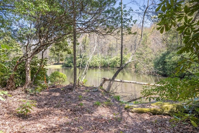 view of water feature with a wooded view