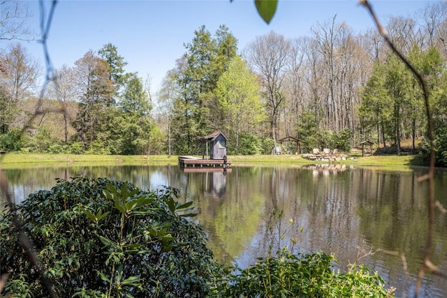 view of water feature