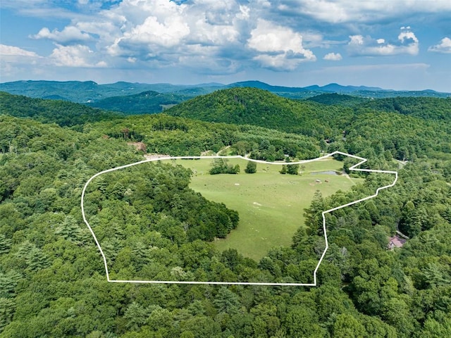45 Keyhole Ln, Cullowhee, NC 28723