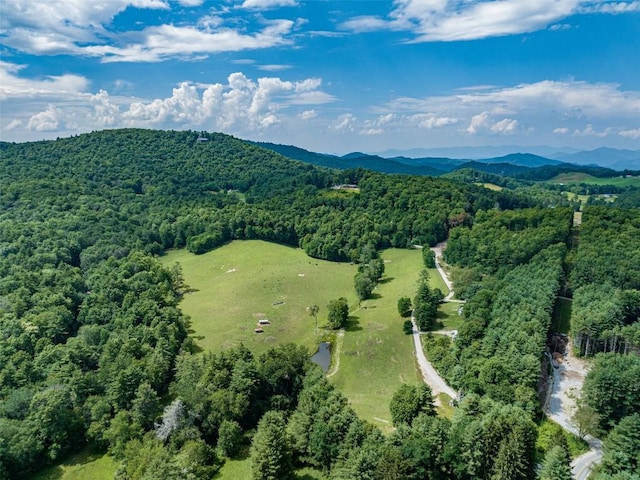45 Keyhole Ln, Cullowhee, NC 28723