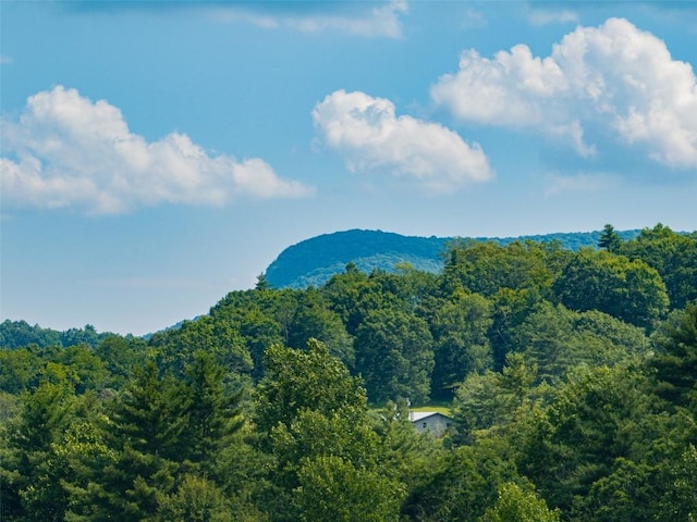 45 Keyhole Ln, Cullowhee, NC 28723