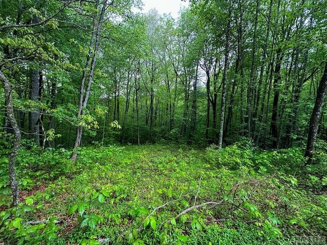 Listing photo 3 for TBD Miller Rd, Scaly Mountain NC 28775