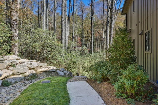 1077 Hicks Rd Unit A, Highlands, NC 28741 - view of yard