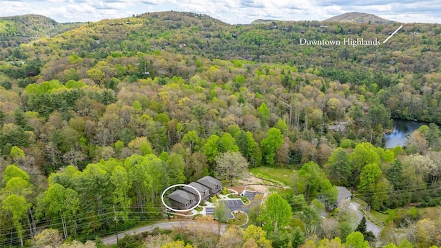 1077 Hicks Rd Unit A, Highlands, NC 28741 - aerial view of a heavily wooded area and a mountain backdrop
