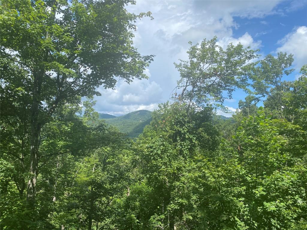 LOT76 Parachute Rdg, Glenville, NC 28736 - photo 3