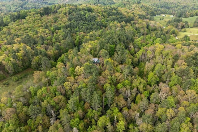 358 Jodytown Rd, Cashiers, NC 28717 - aerial overview of property's location featuring a heavily wooded area