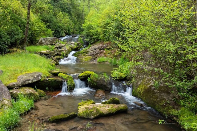 358 Jodytown Rd, Cashiers, NC 28717 - view of yard with a view of trees
