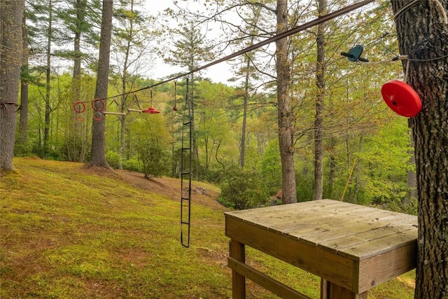 358 Jodytown Rd, Cashiers, NC 28717 - view of yard with a forest view