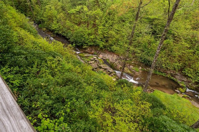358 Jodytown Rd, Cashiers, NC 28717 - view of yard