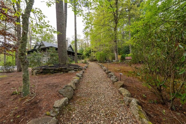 358 Jodytown Rd, Cashiers, NC 28717 - view of yard