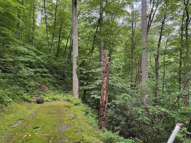 LOT45 Greycliff Mountain Dr, Cullowhee, NC 28723