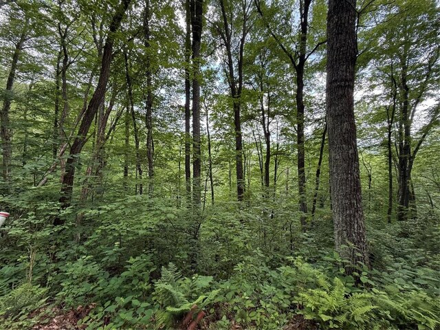 LOT45 Greycliff Mountain Dr, Cullowhee, NC 28723