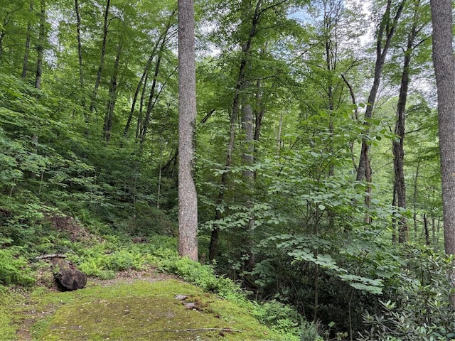 LOT45 Greycliff Mountain Dr, Cullowhee, NC 28723