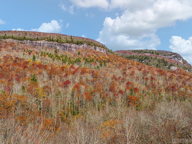 TBD Cold Mountain Rd, Lake Toxaway NC, 28747 land for sale