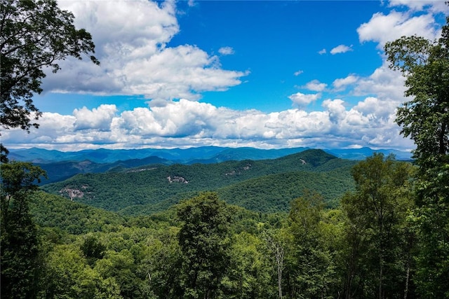 29 Bullbriar Dr, Glenville, NC 28736 - photo 2