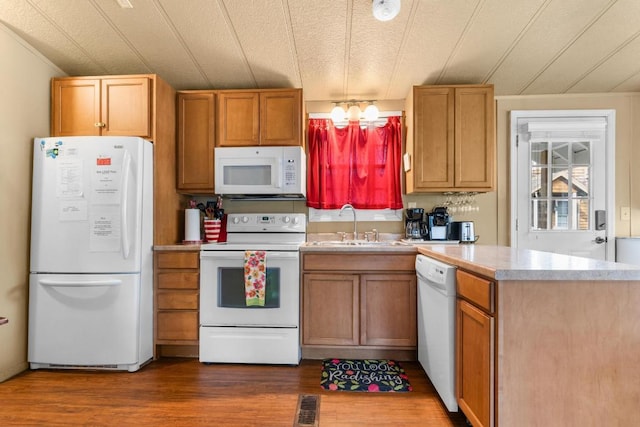 kitchen featuring sink, dark wood-type flooring, and white appliances