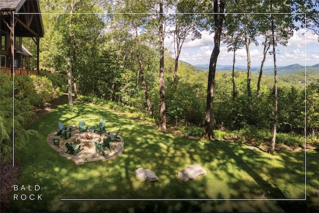 420 Feldspar Ln, Sapphire, NC 28774 - photo 5
