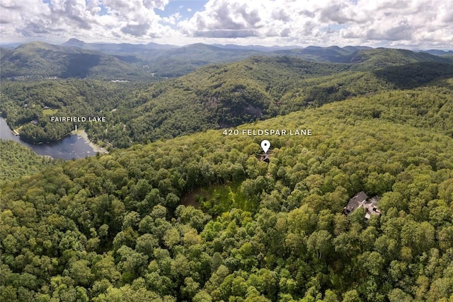 420 Feldspar Ln, Sapphire, NC 28774 - photo 97