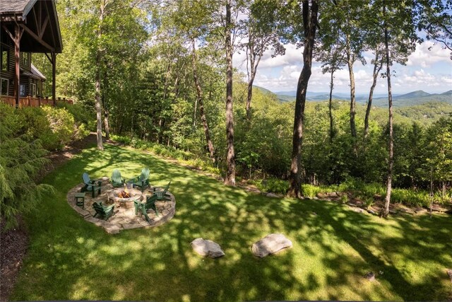 420 Feldspar Ln, Sapphire, NC 28774 - photo 89