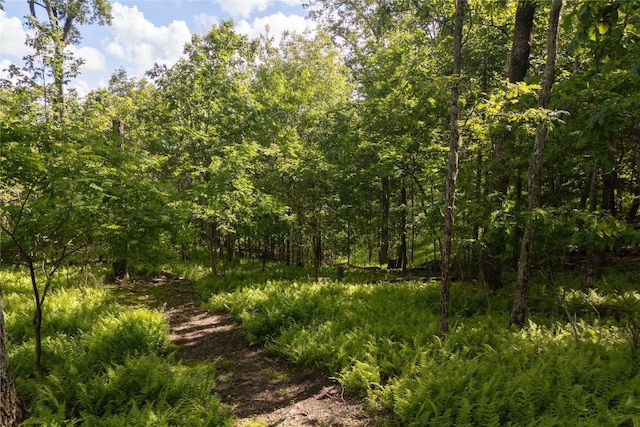 420 Feldspar Ln, Sapphire, NC 28774 - photo 84