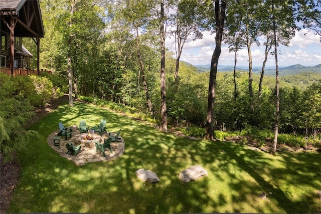 420 Feldspar Ln, Sapphire, NC 28774 - photo 87