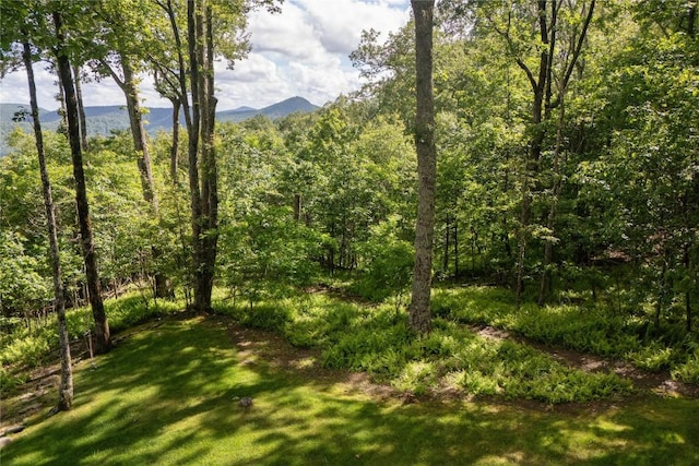 420 Feldspar Ln, Sapphire, NC 28774 - photo 82