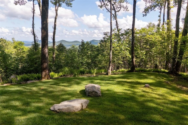 420 Feldspar Ln, Sapphire, NC 28774 - photo 85