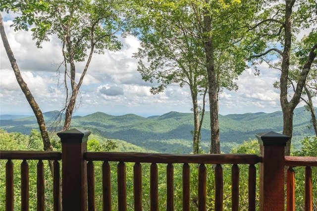 420 Feldspar Ln, Sapphire, NC 28774 - photo 79
