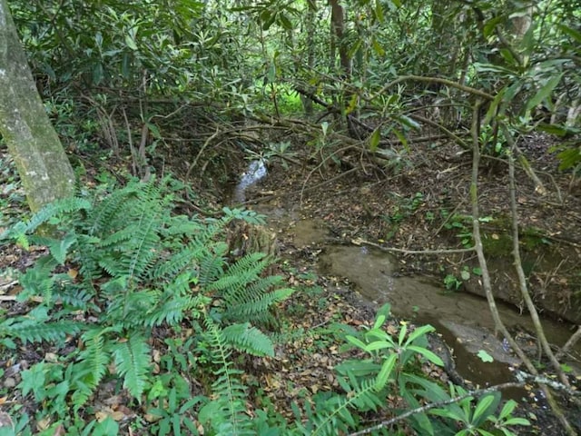 4860 Horse Cove Rd, Highlands, NC 28741 - view of undeveloped land