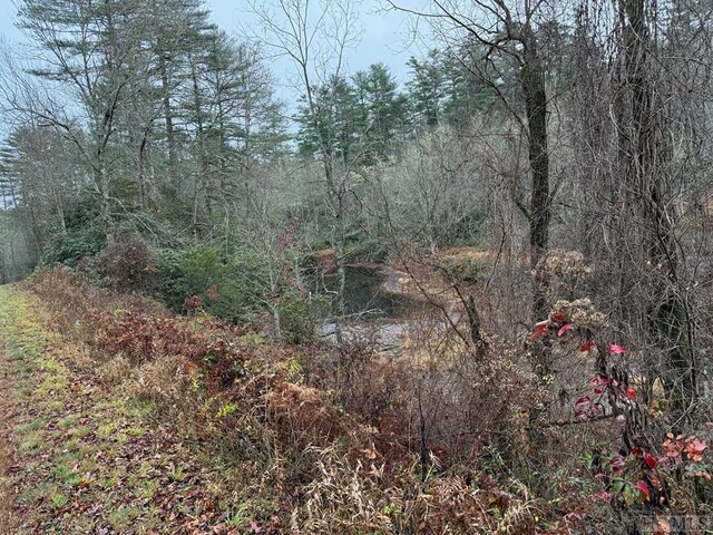 5090 Horse Cove Rd, Highlands, NC 28741 - photo 12