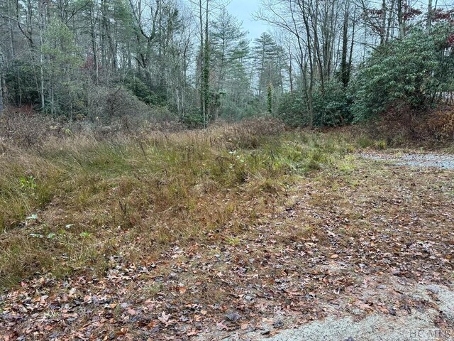 5090 Horse Cove Rd, Highlands, NC 28741 - photo 13