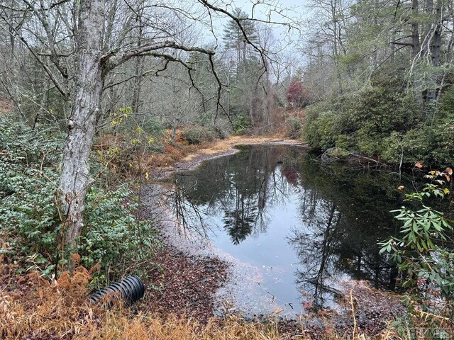 5090 Horse Cove Rd, Highlands, NC 28741 - photo 7