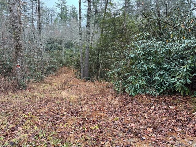 5090 Horse Cove Rd, Highlands, NC 28741 - photo 8