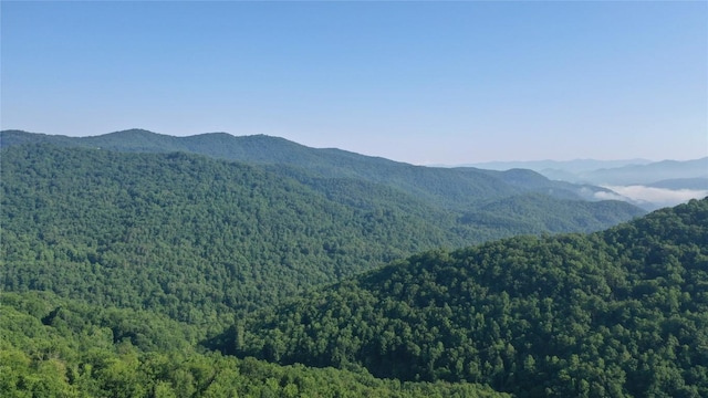 2652 Pilot Knob Rd, Glenville, NC 28736 - photo 2