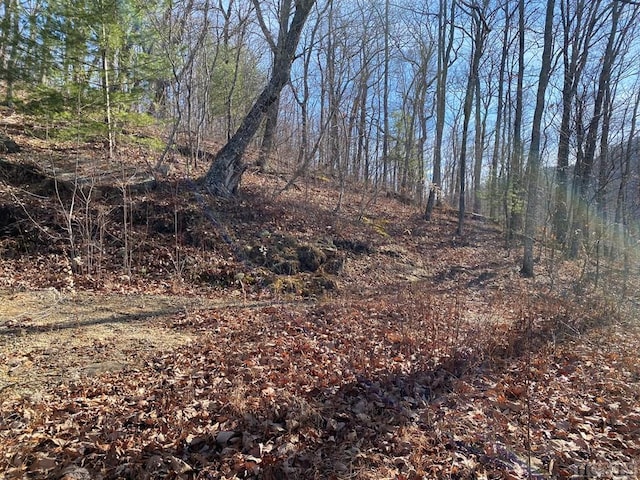 Listing photo 3 for LOT73 Pilot Knob Rd, Glenville NC 28736