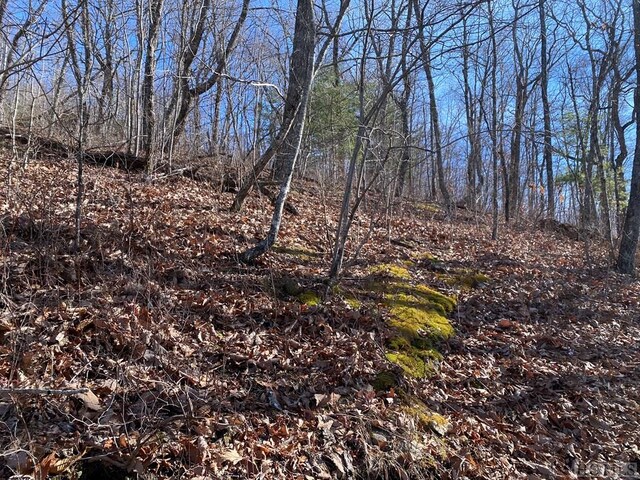 LOT73 Pilot Knob Rd, Glenville, NC 28736 - photo 8