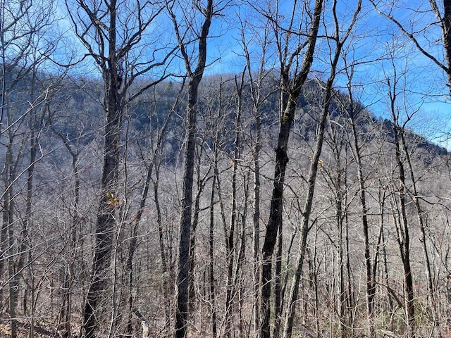 LOT73 Pilot Knob Rd, Glenville NC, 28736 land for sale