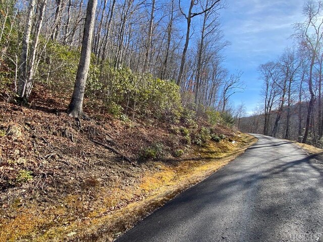 LOT73 Pilot Knob Rd, Glenville, NC 28736 - photo 11