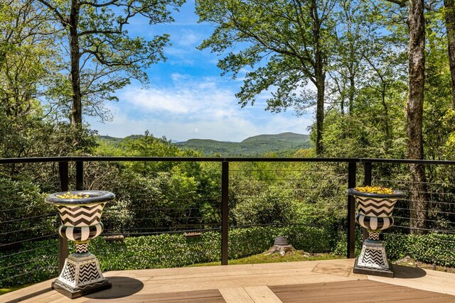 1135 Big Bear Pen Rd, Highlands, NC 28741 - photo 60